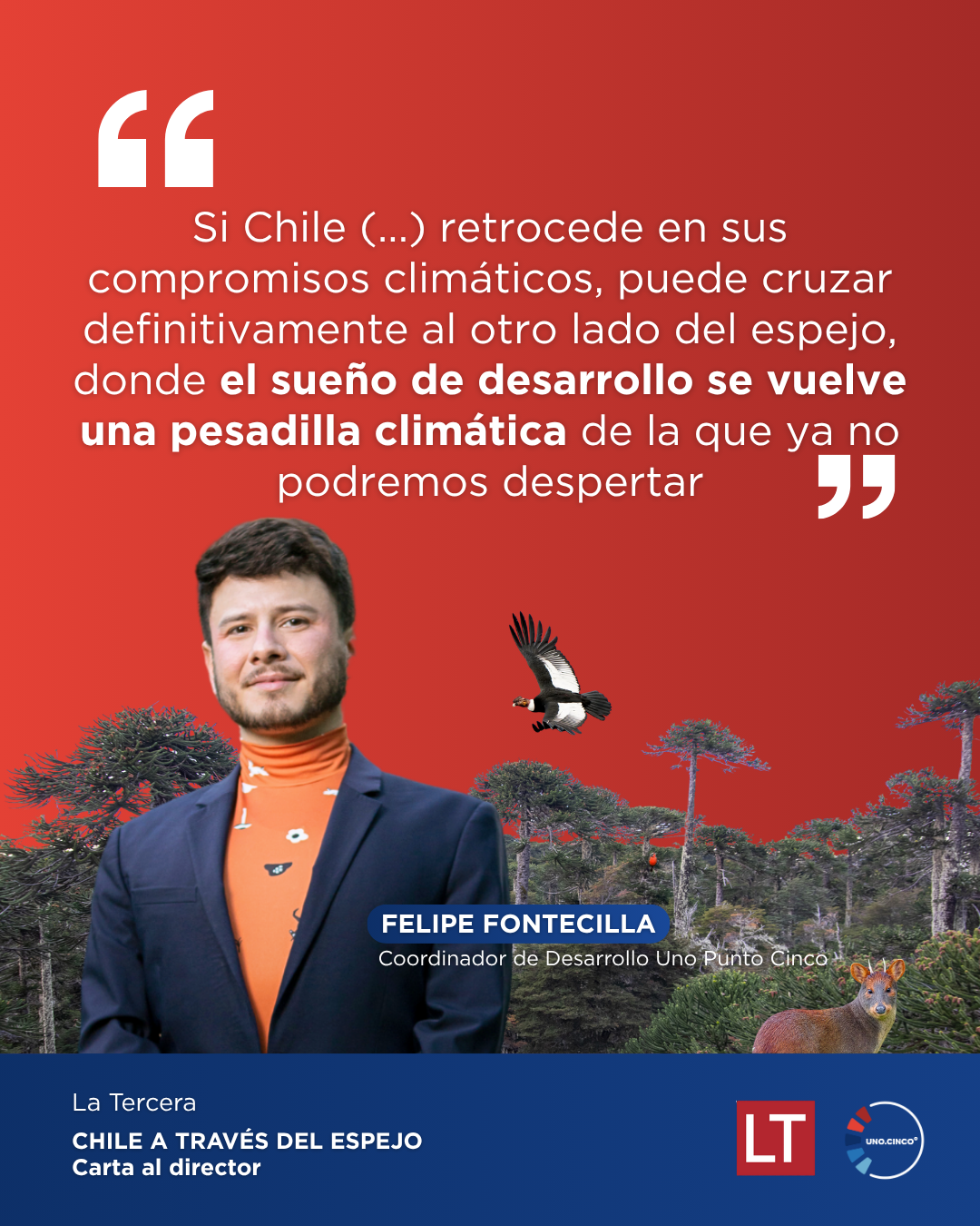 Chile, a través del espejo