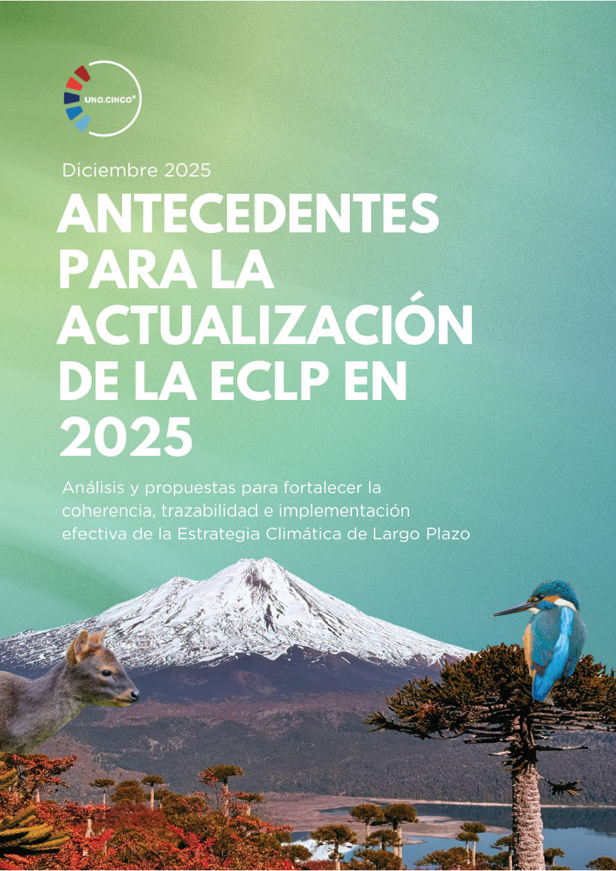 Antecedentes para la actualización de la ECLP en 2025