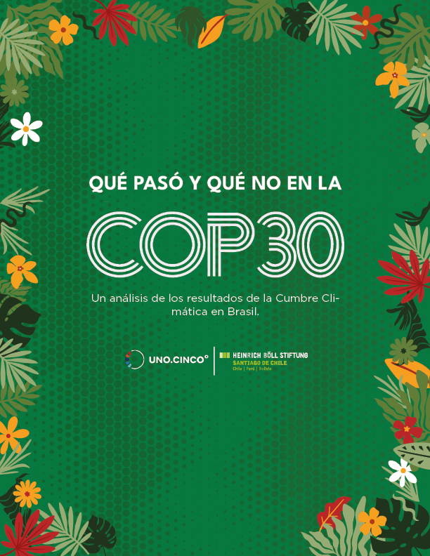 Qué pasó y qué no en la COP30