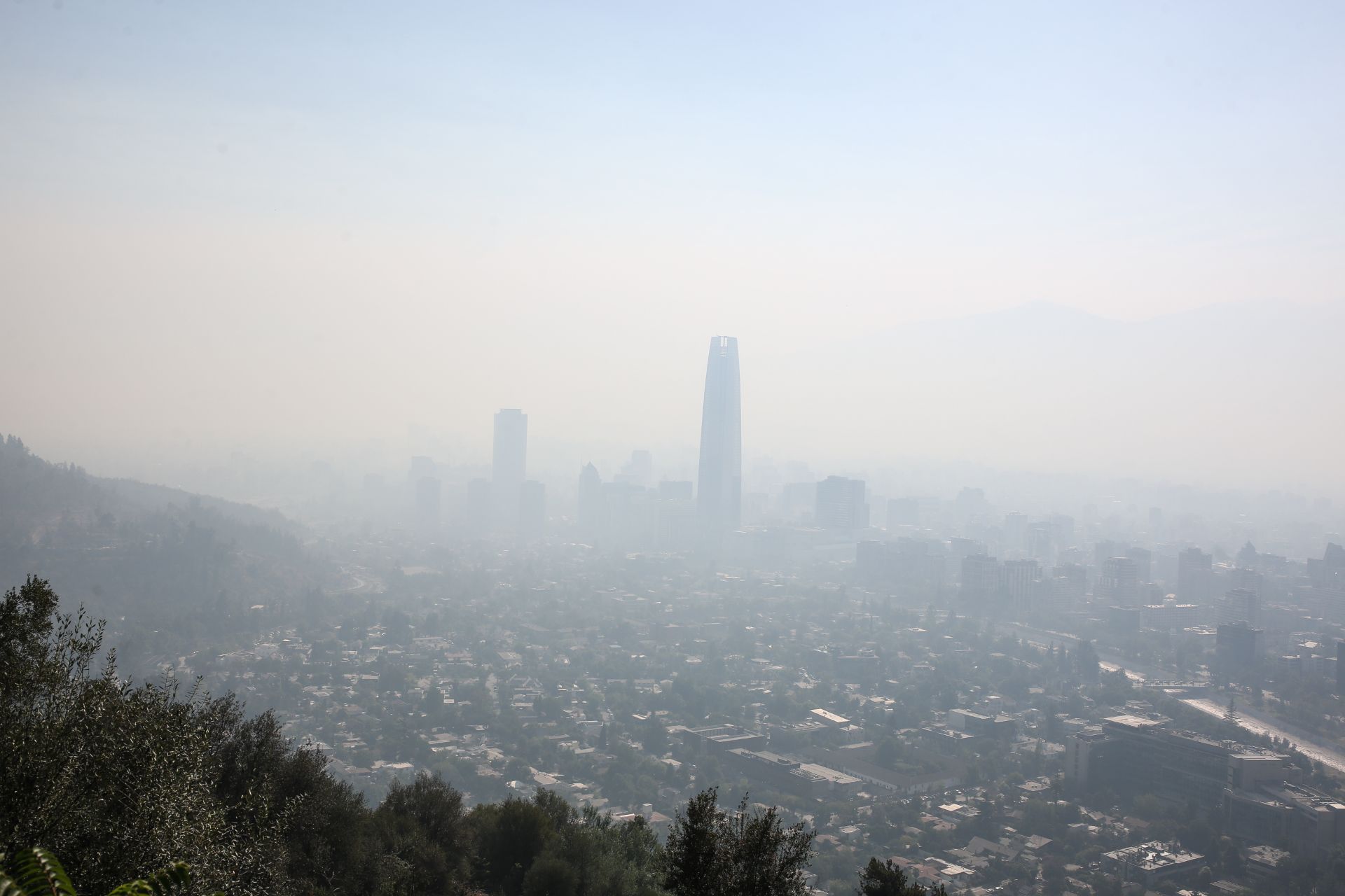 Dos decretos que podrían mejorar la salud y el aire que respiramos: un llamado al Ministerio del Medio Ambiente