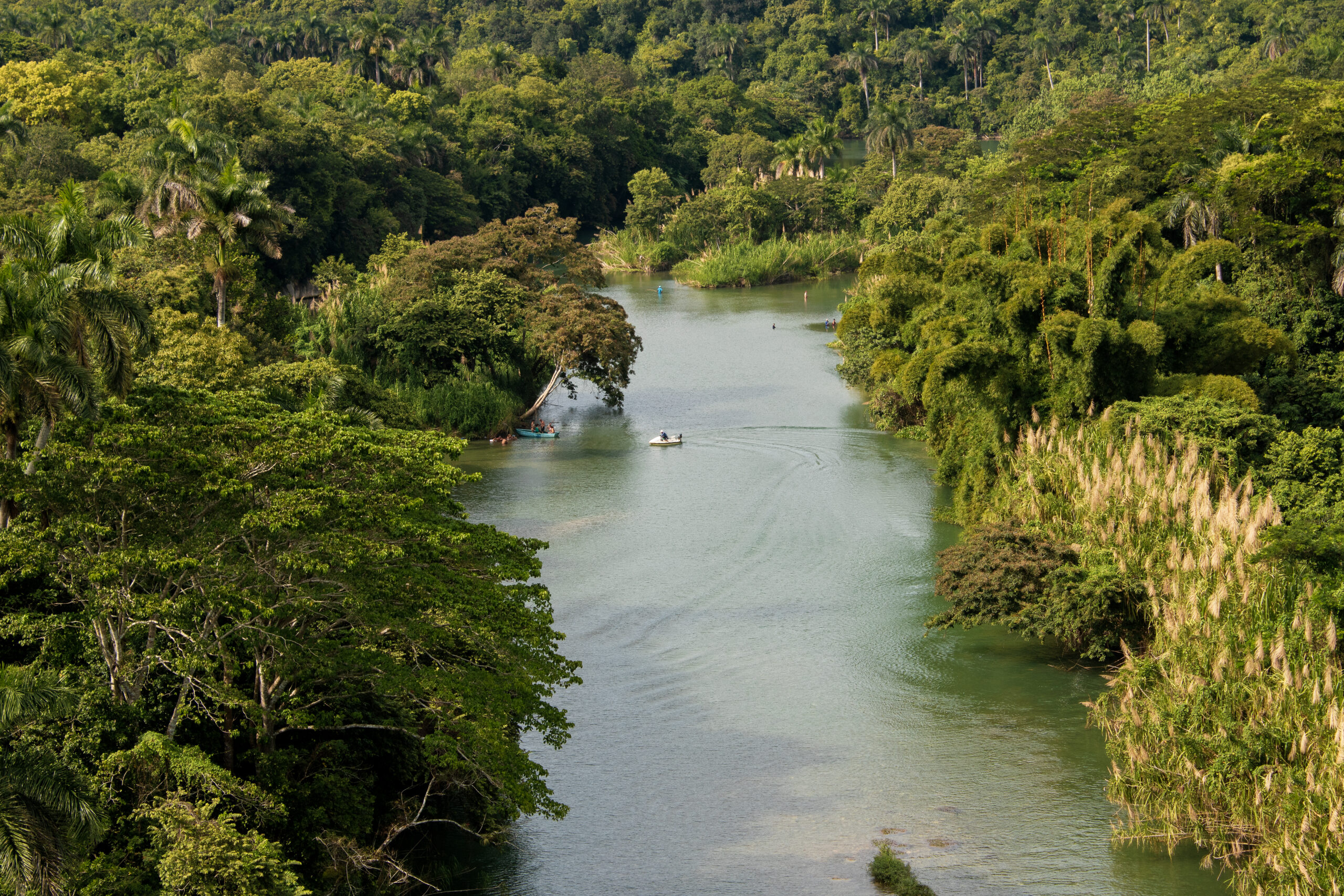 “Es erróneo afirmar que la Amazonia es el pulmón del mundo” ¿Qué pasó con la transición de Brasil en el gobierno de Jair Bolsonaro?